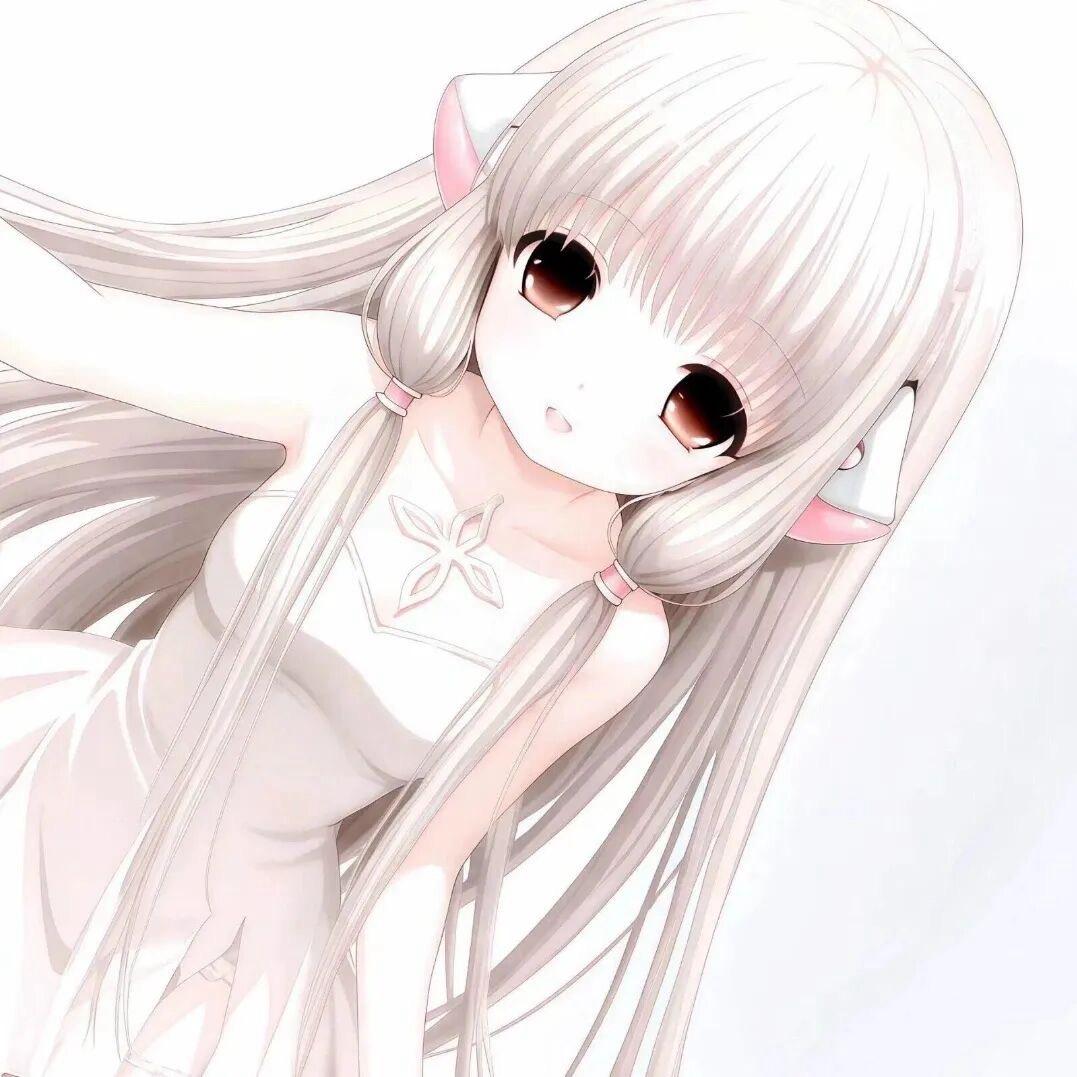 姜姜🍬『和平精英』