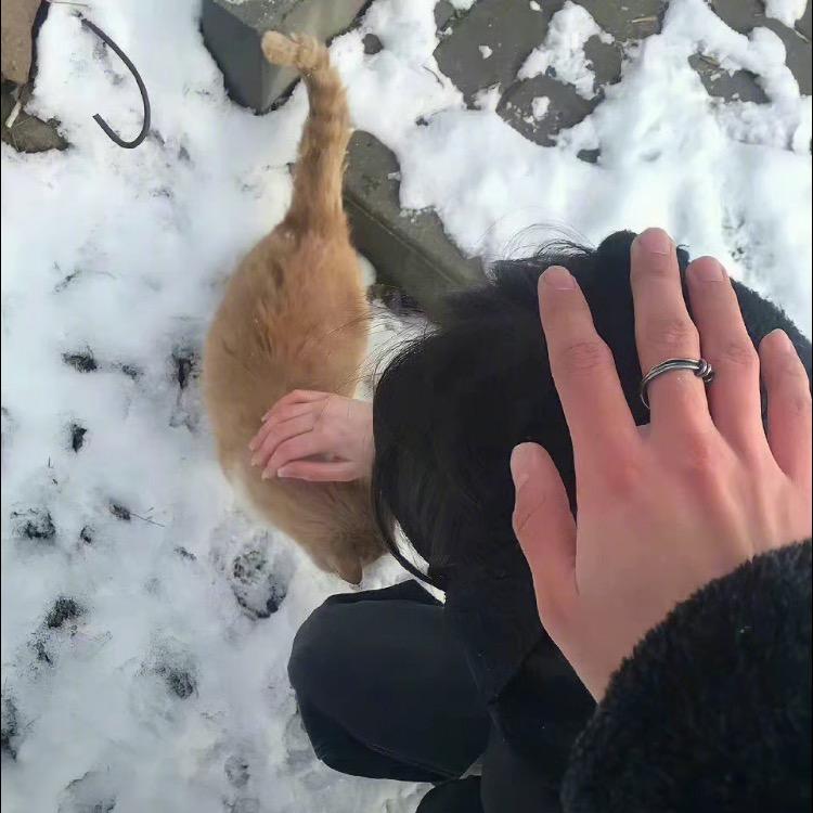 鲤鱼