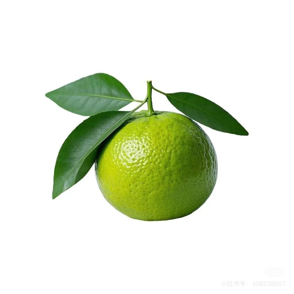 PEIP