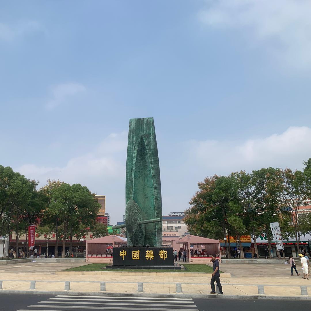 林业技术推广~平哥