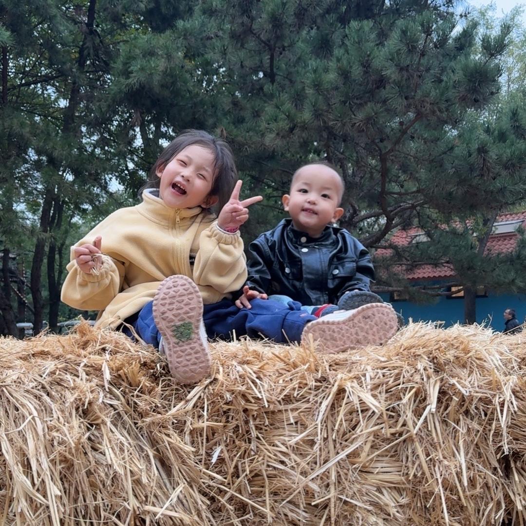 雅韵软装