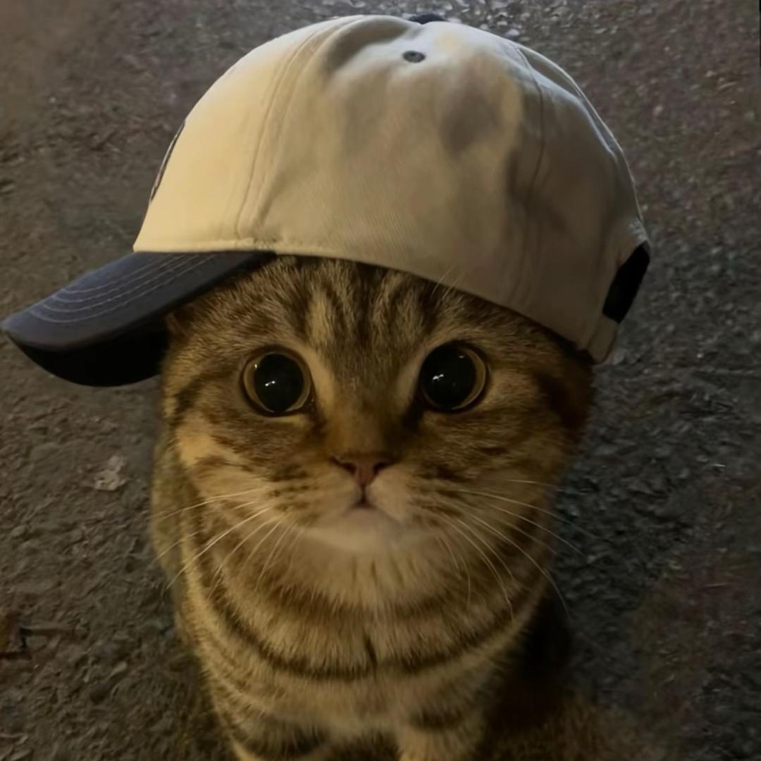 不知名小c