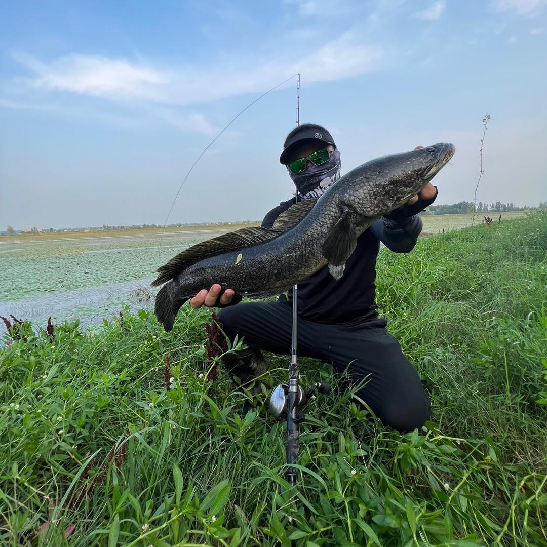 雷强🎣彭瑞