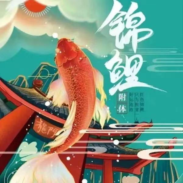 初中数学桂老师