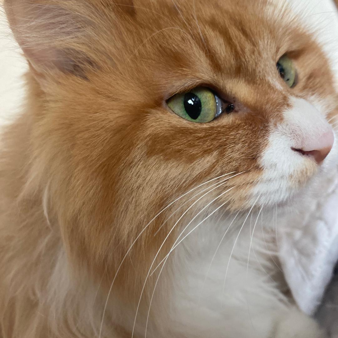 史上最阴间名字