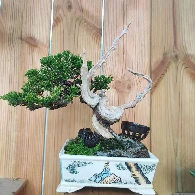 嘉庆新沂园艺精品店