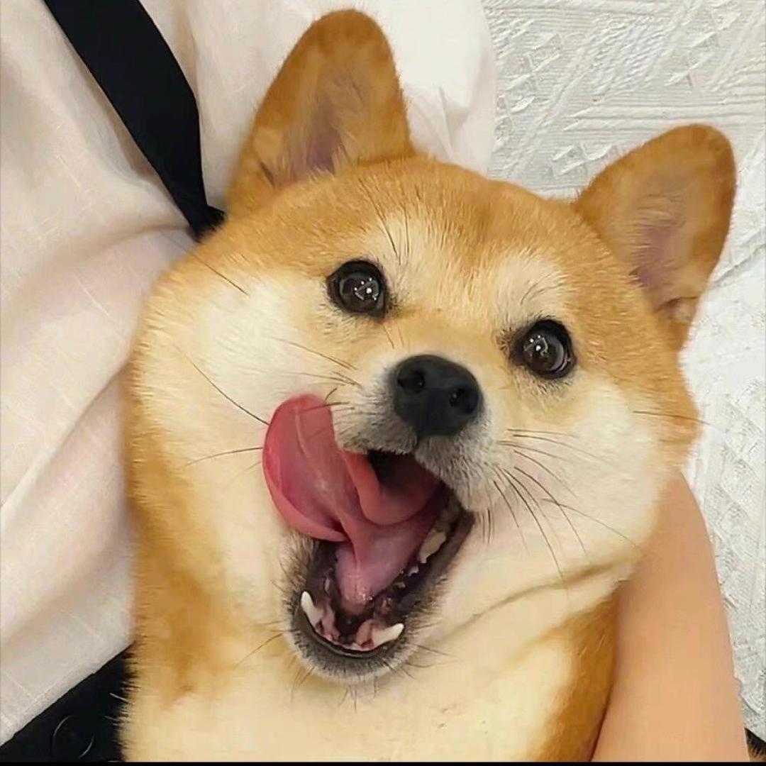 好运来🌸
