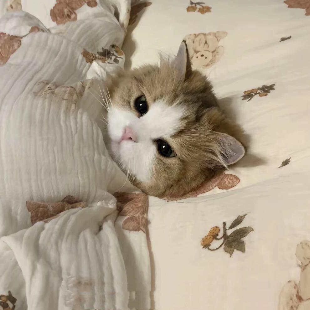 瘦嘎嘎