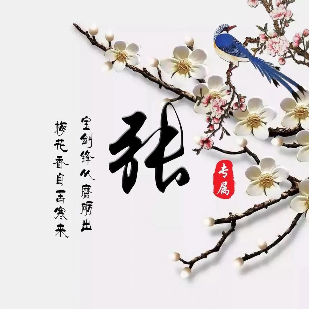 张老师说数学