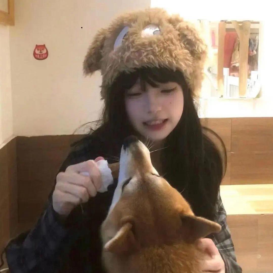 菜菜·