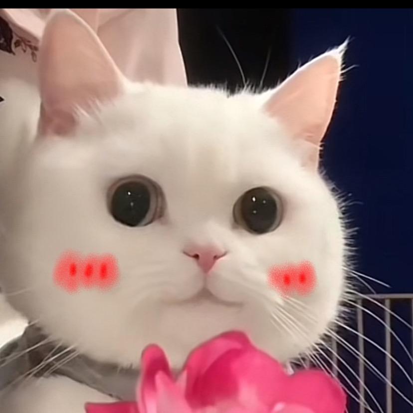 泡泡