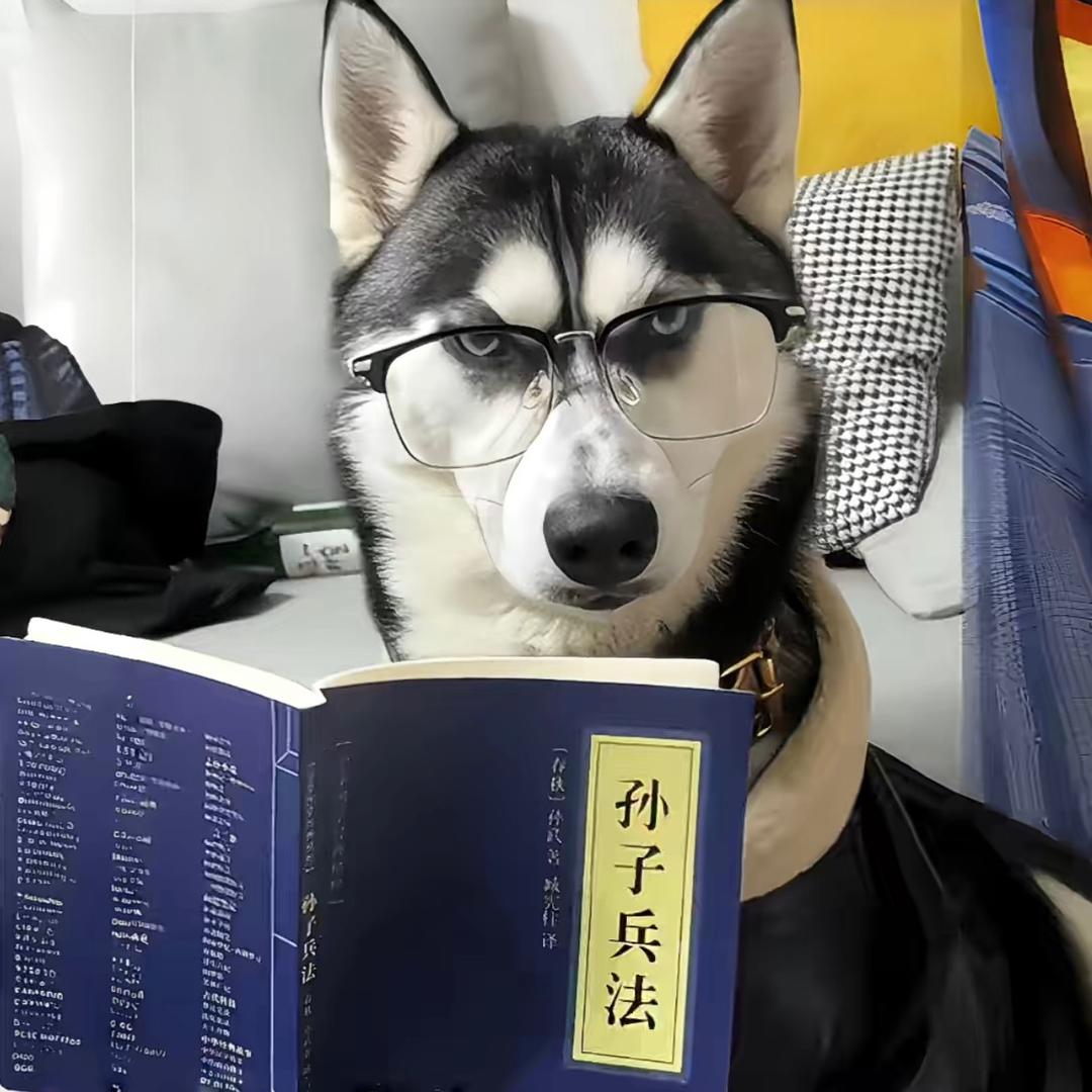 抓猫儿「镭」