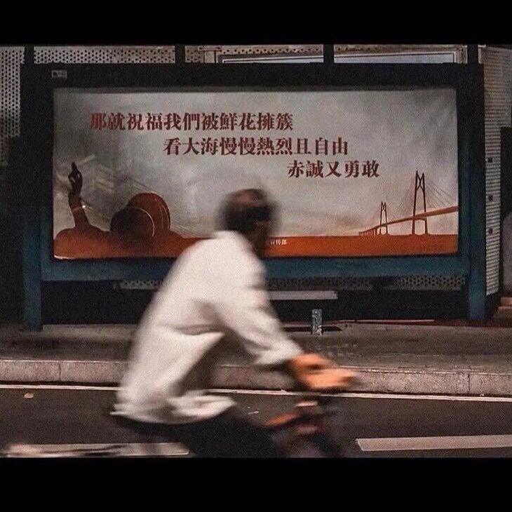 不会垫调的二传