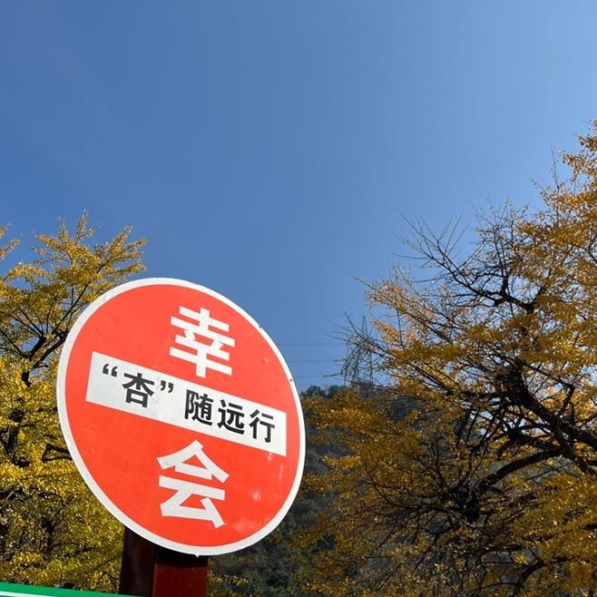 🌈戈登大龙