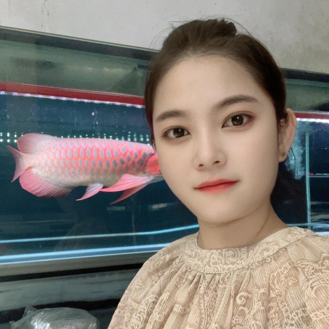 龙耀红龙馆