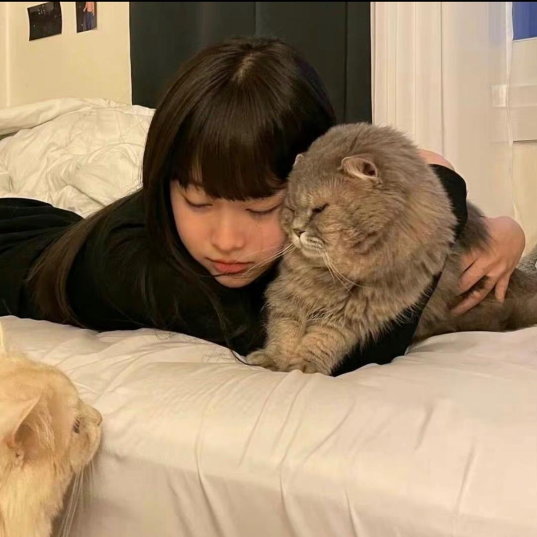 玥玥子HA