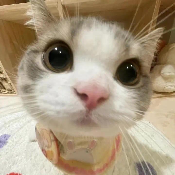 小雨天