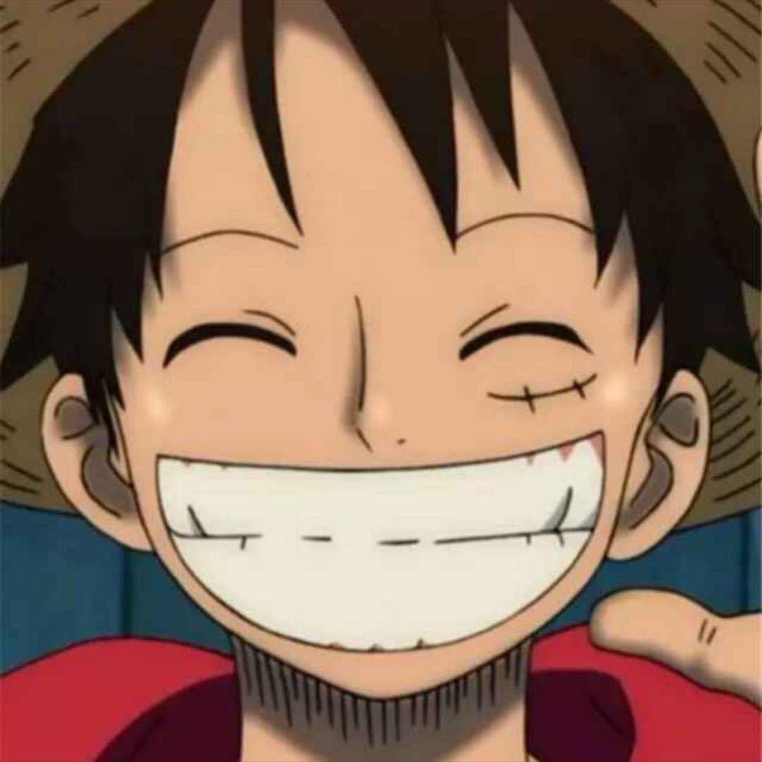 小鱼°。🦈（严选）