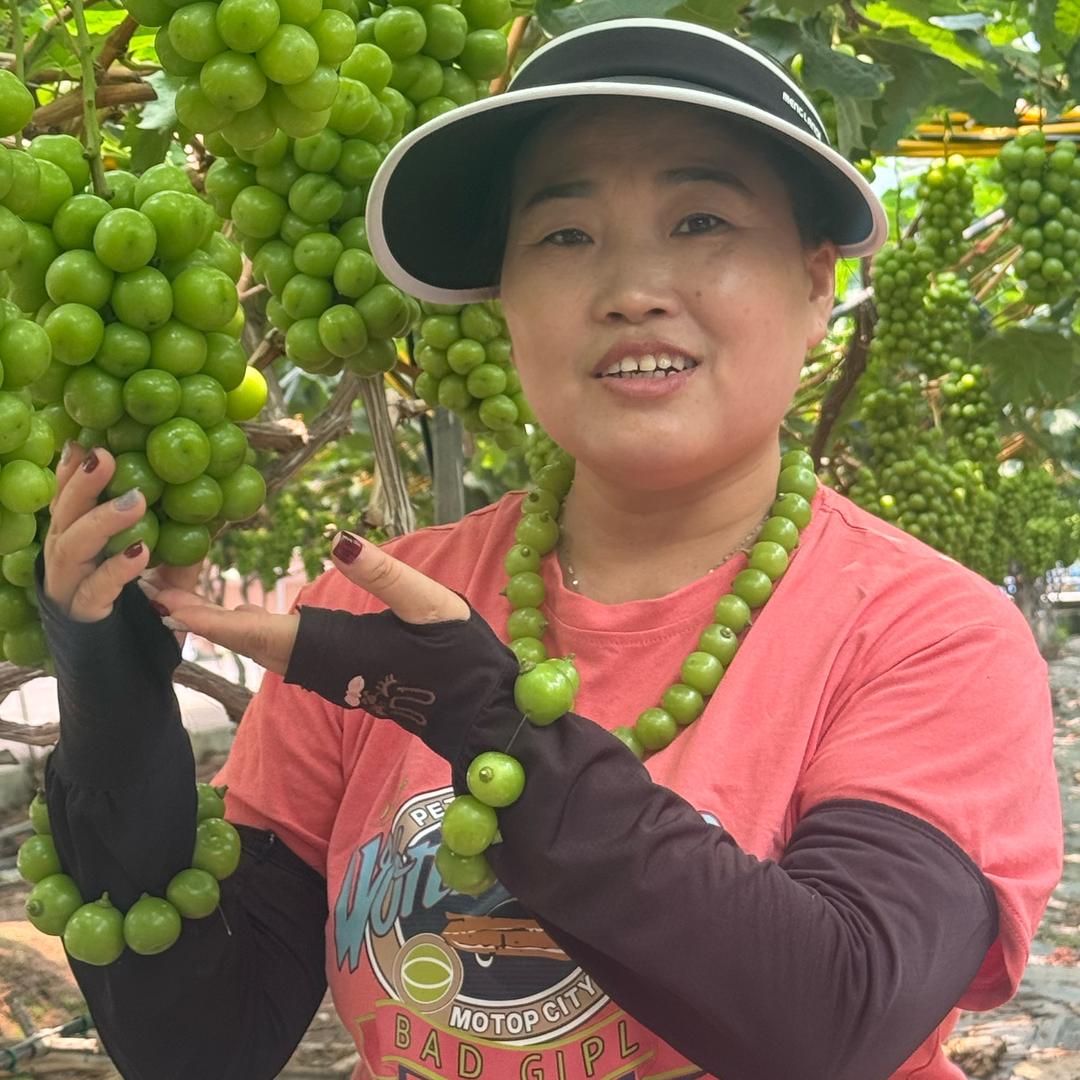 果农帅小孃