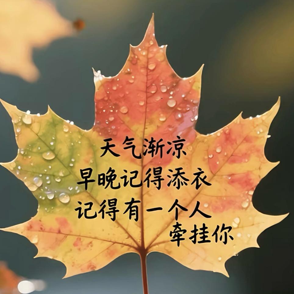 云心归林✨