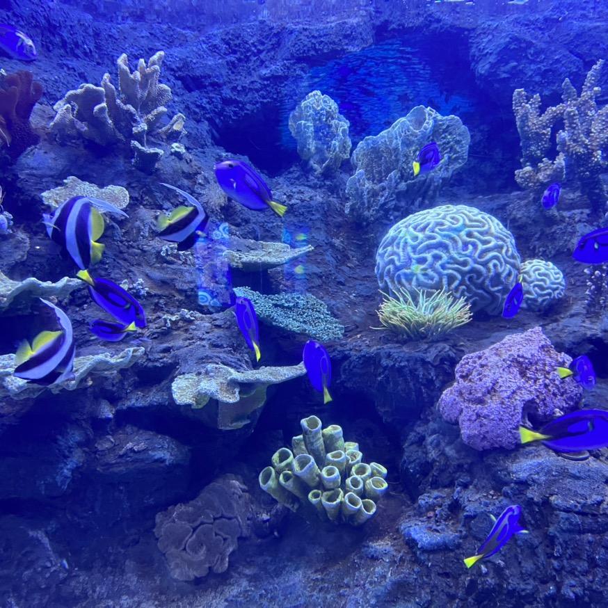 迷你世界，小心