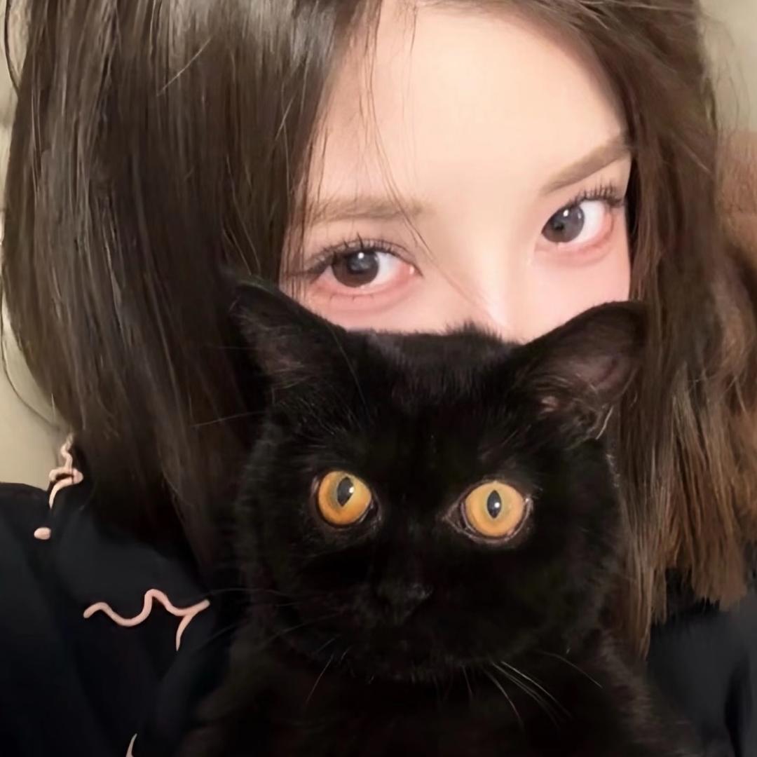 小猫O.oKitty