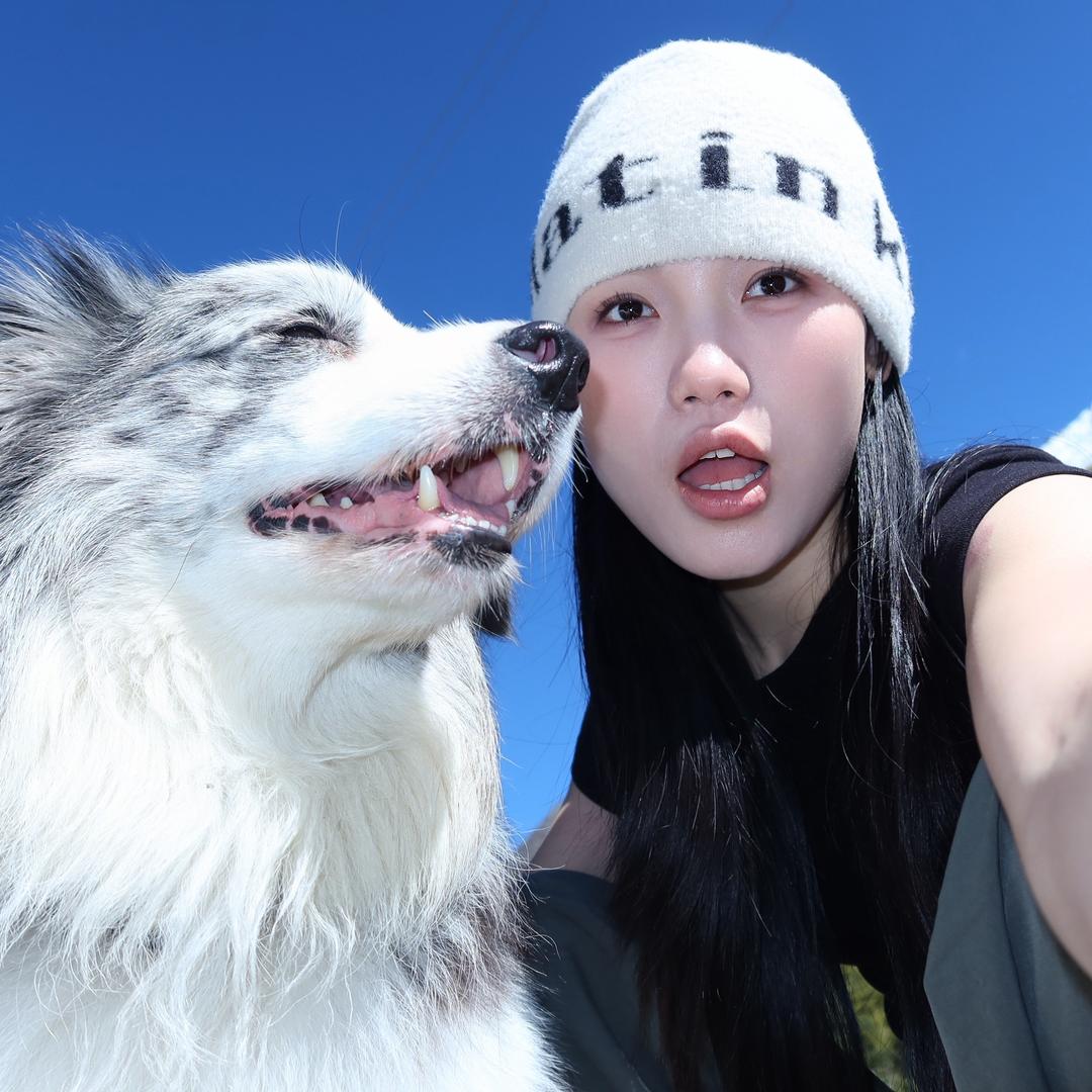 小风筝（🏂只会换刃版）