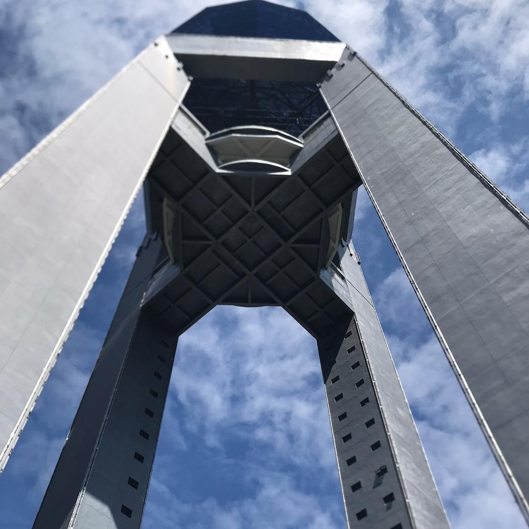 幸福快乐的鸿仔