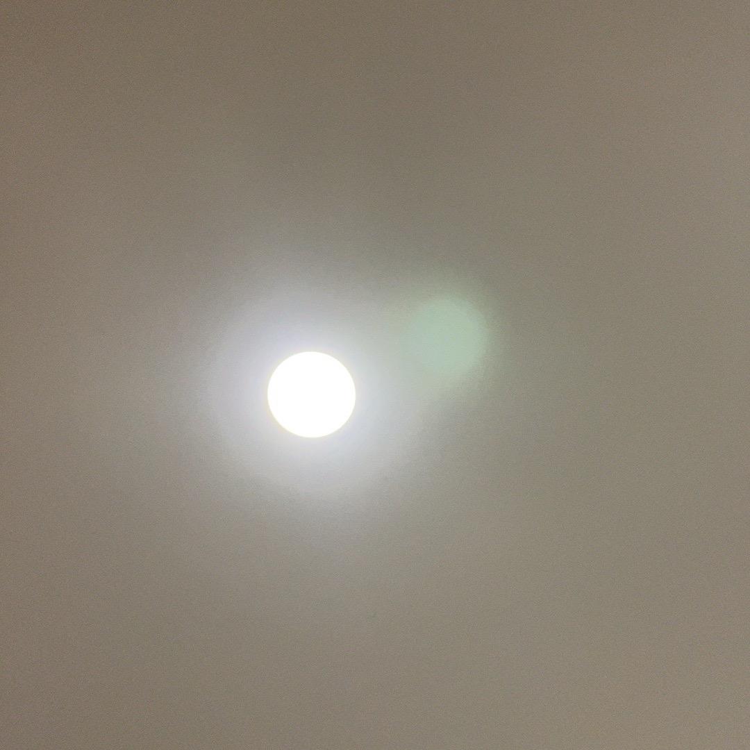 欣欣xin