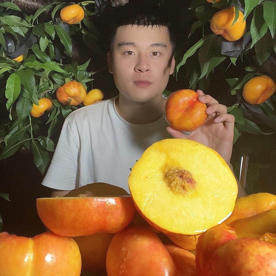 大柚子的果园