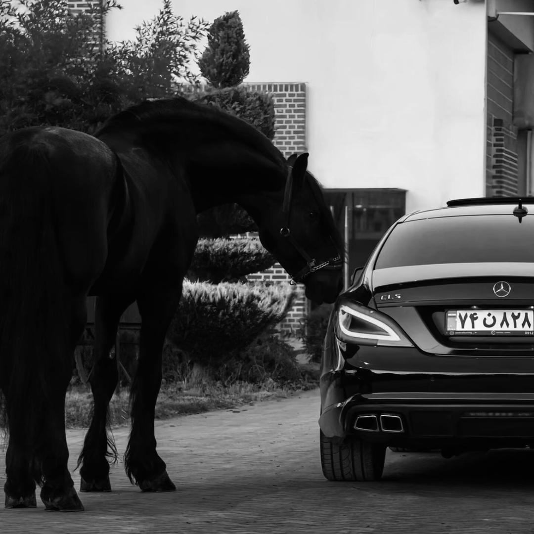 就叫阿浩吧⚜️