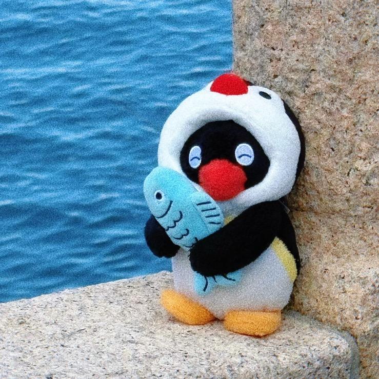 y.🧸