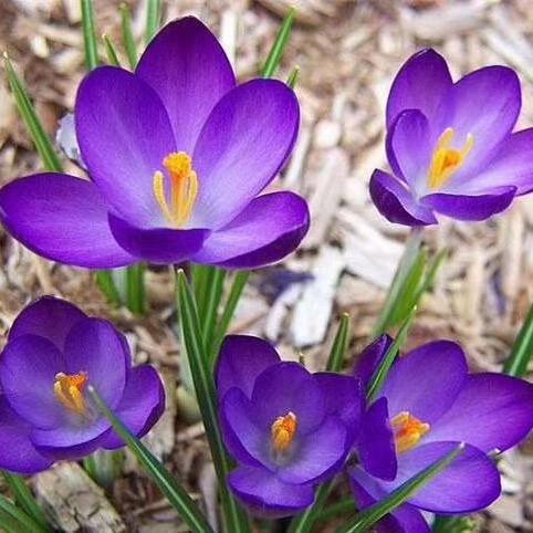 ☘️小幸运☘️