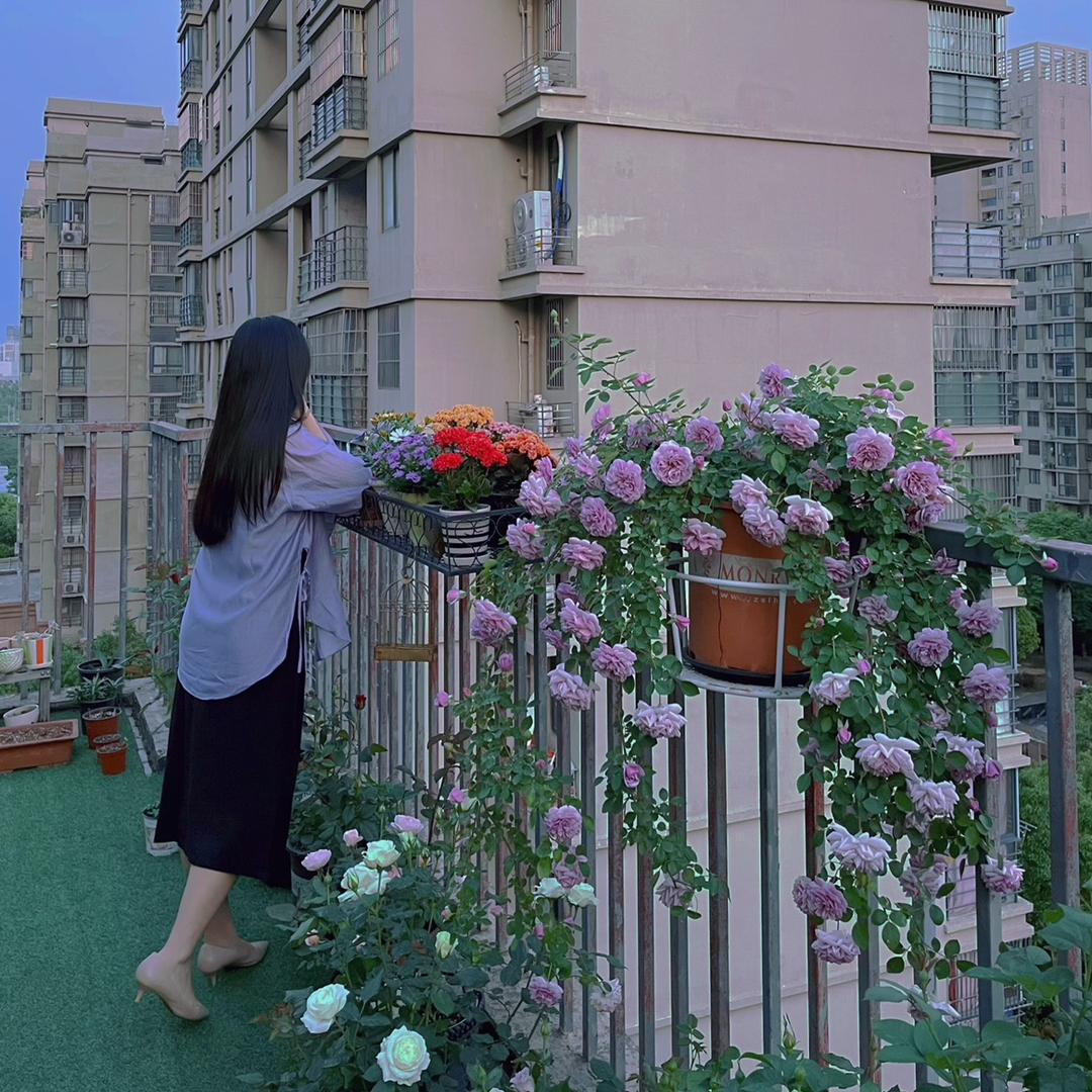 爱种花的伍老师
