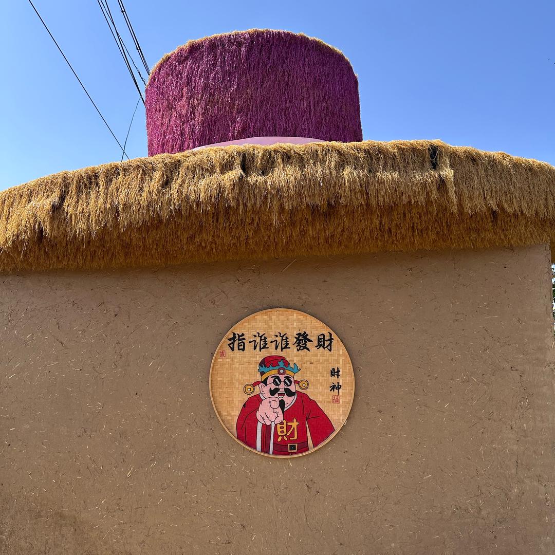 后来的后来🤎