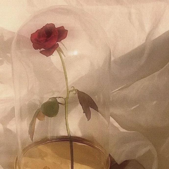 似此星辰非昨夜