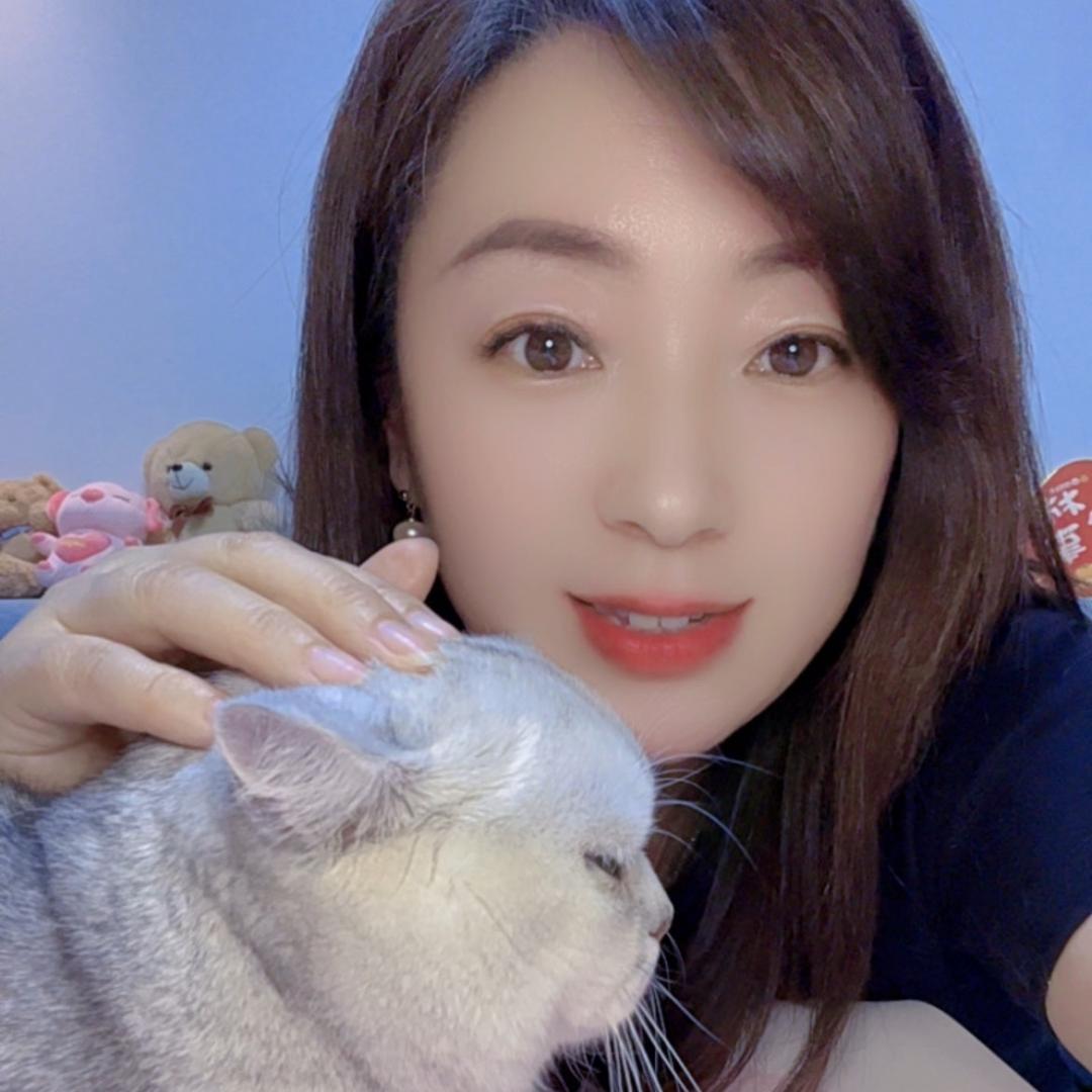 小娜的猫猫狗狗