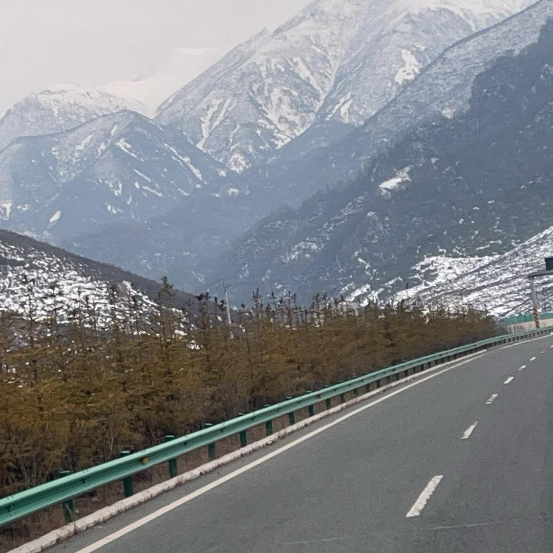 雪妹🎙️（经典伤感）