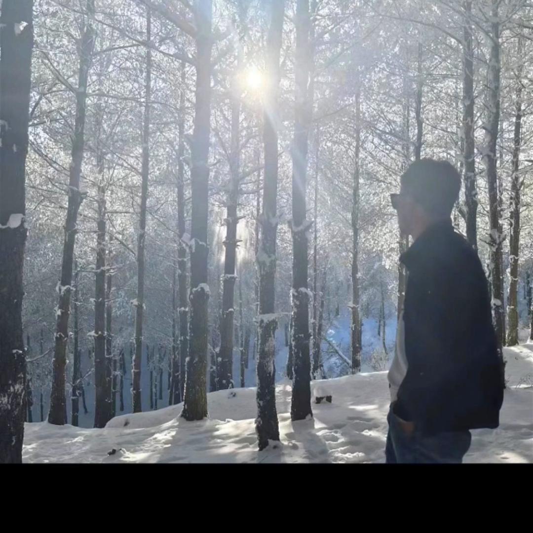 小龙