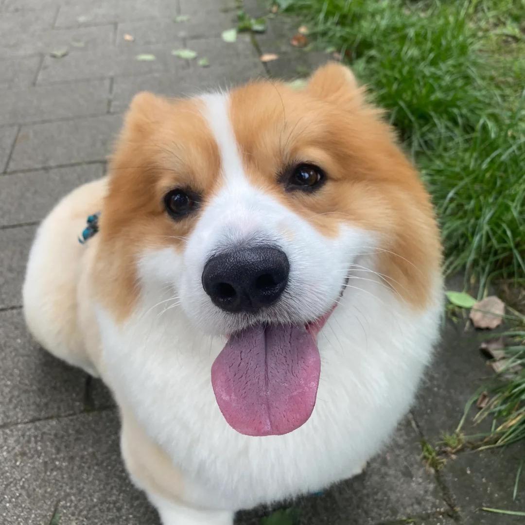 _小九