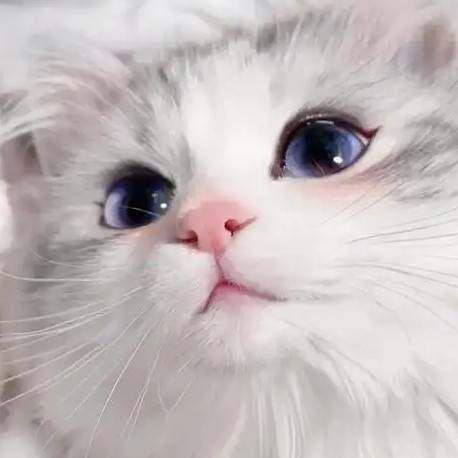 啵啾