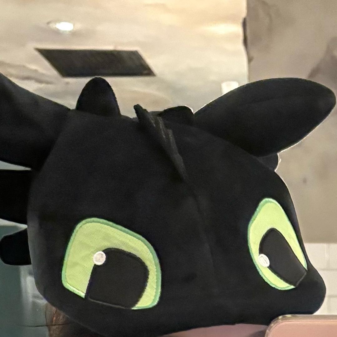66是只猫