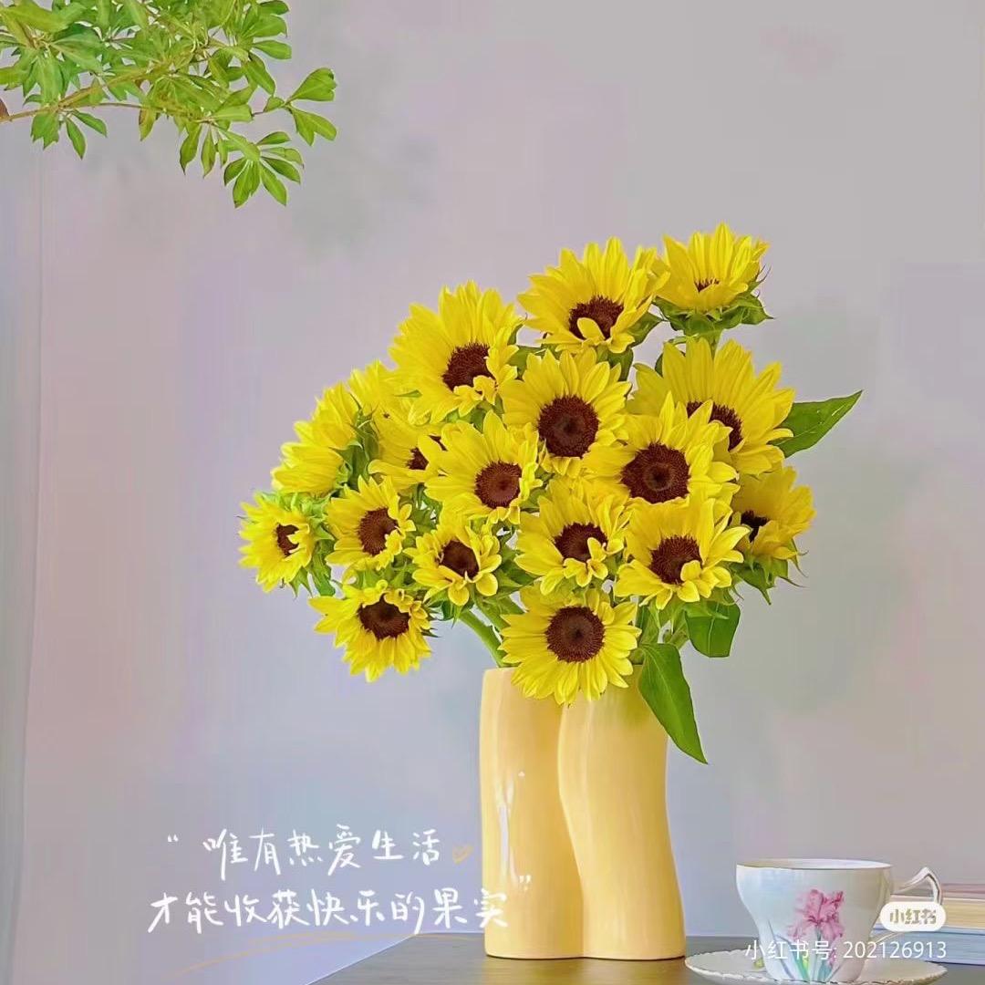 金色阳光幼儿园