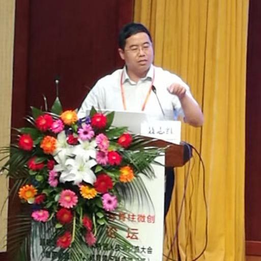 聂志红 医学博士  教授 脊柱微创外科
