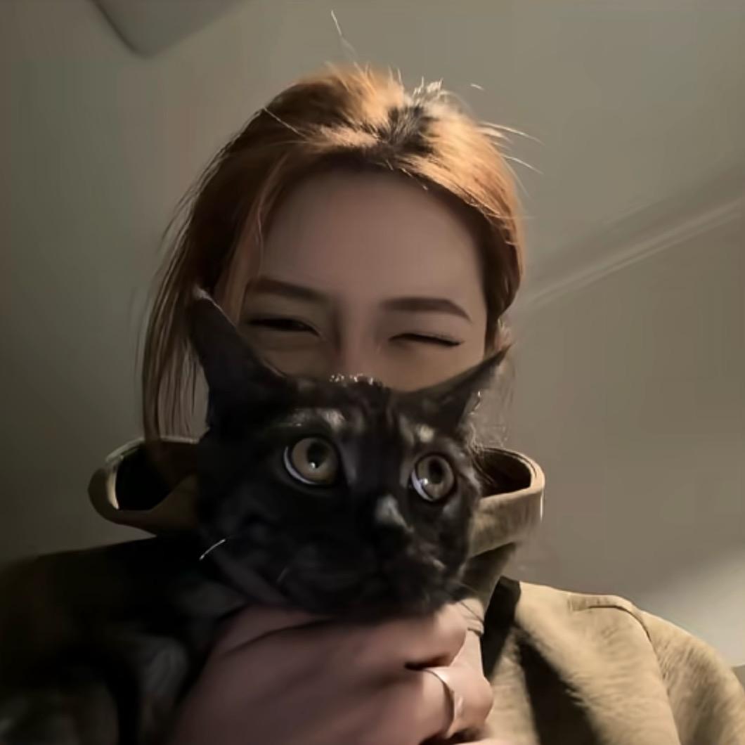 不止雾