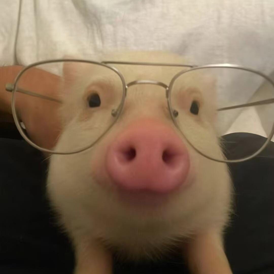 小泽