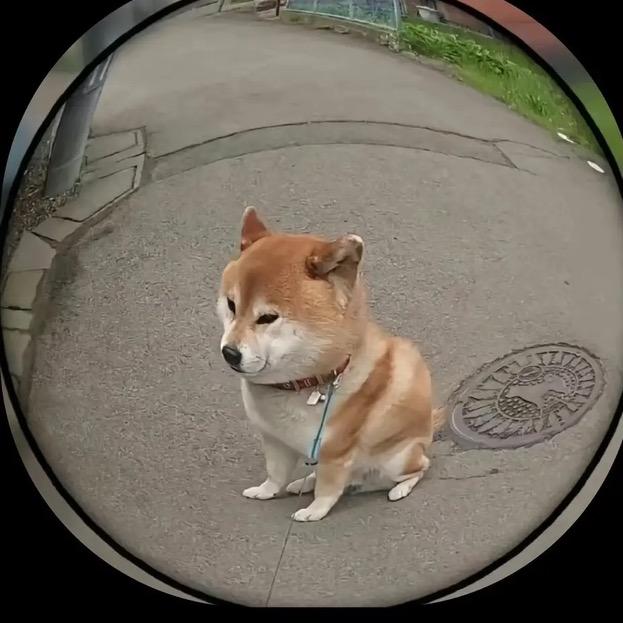 嘀嗒鲁工噶猴打嘿