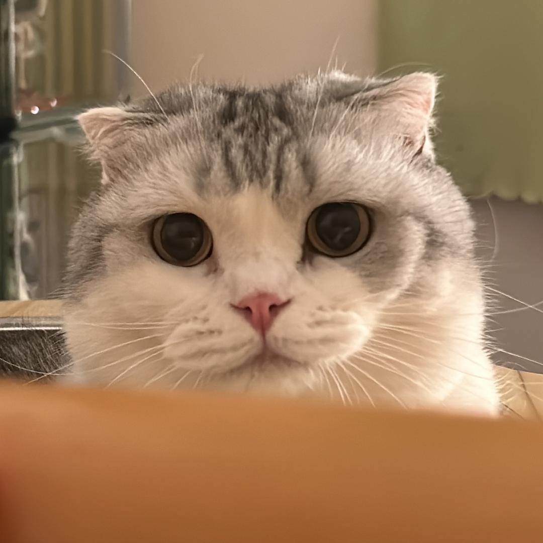 啦啦啦