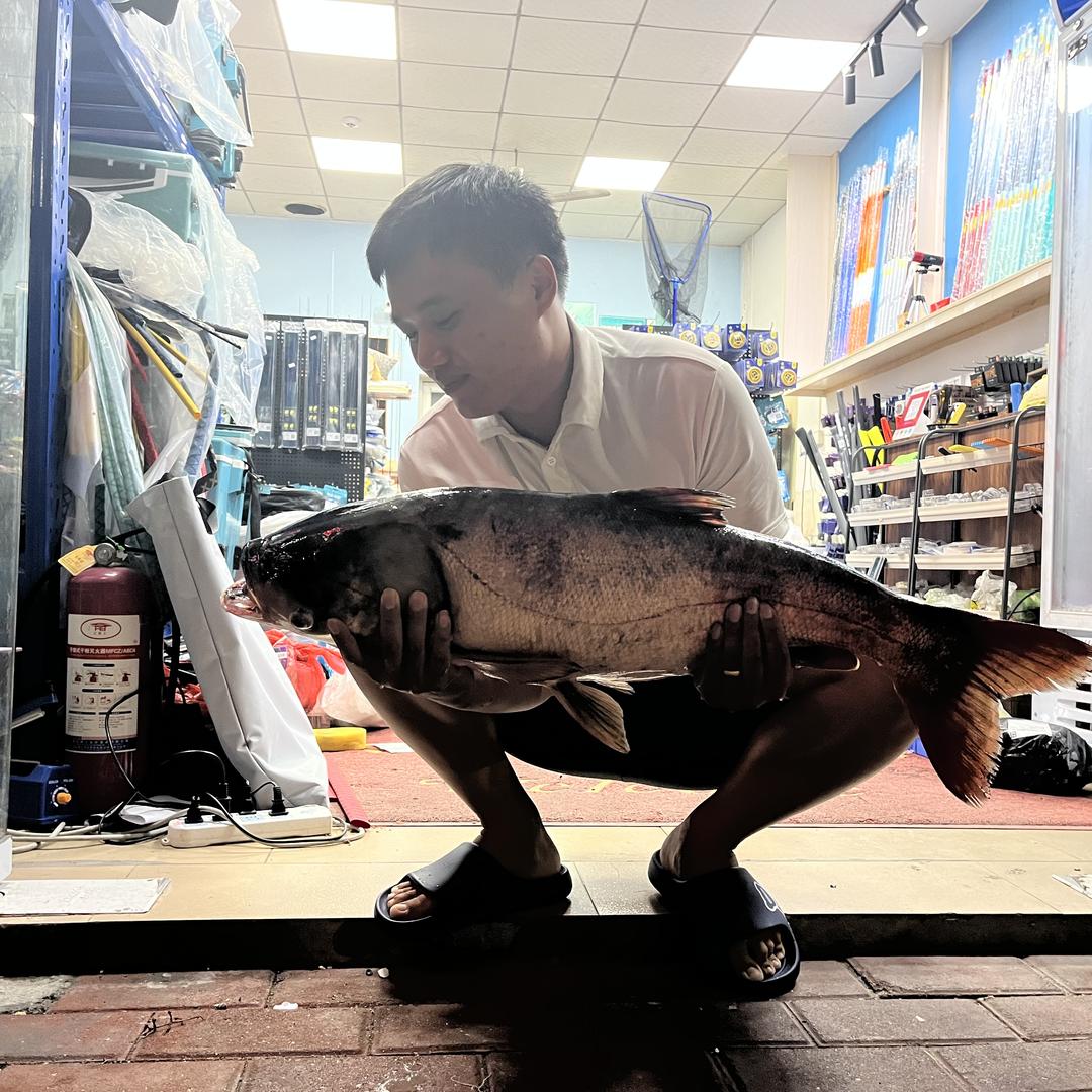 阿池钓鱼（汉鼎东莞石排店、石碣店）