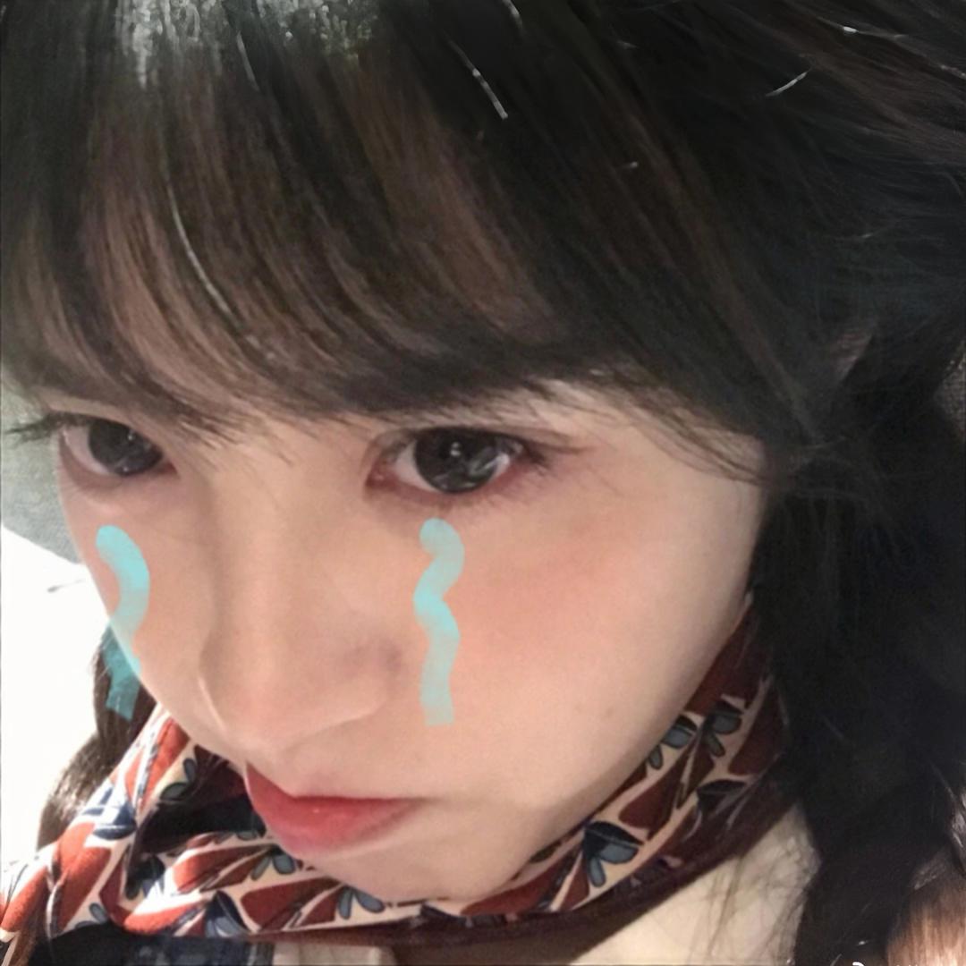 小兔禿秃🐰